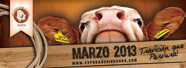 Expogan Chihuahua 2013