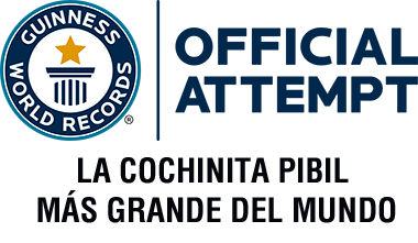 Logo Record Guinness
