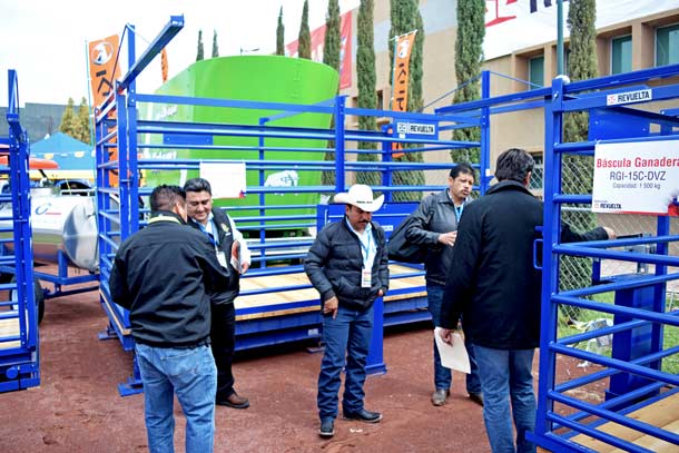 Básculas para Ganado