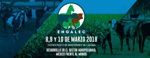 ENGALEC 2018