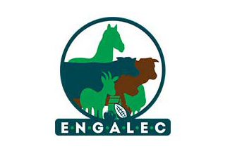Logo ENGALEC 2018 - Thumb