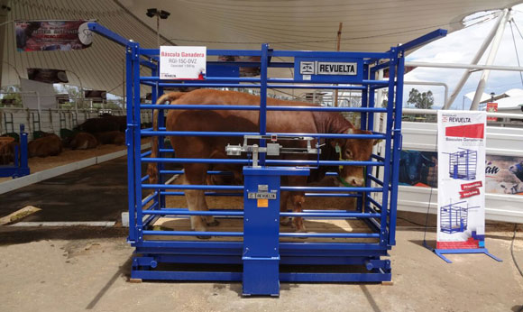 Stand Feria Nacional Durango 2018