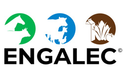 Logo Engalec 2019 - thumb
