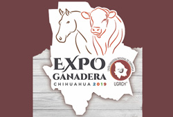 Expo Ganadera Chihuahua Thumb