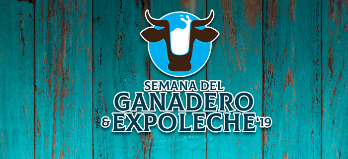 Banner Expolechera