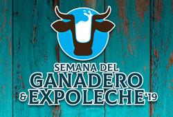 Expolechera Thumb