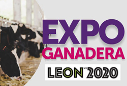 Expo Ganadera León Thumb