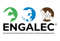 Logo ENGALEC 2020
