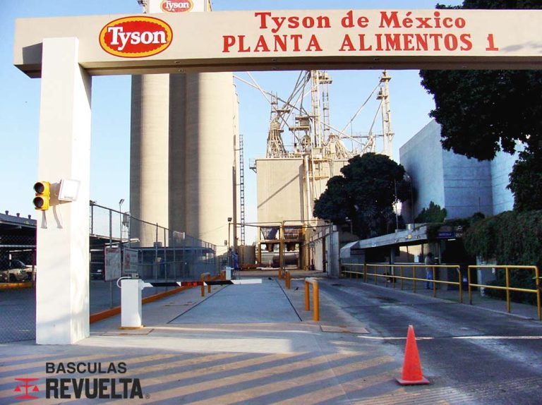 Tyson. Instalación en fosa