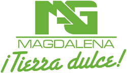 Logo Ingenio Magdalena