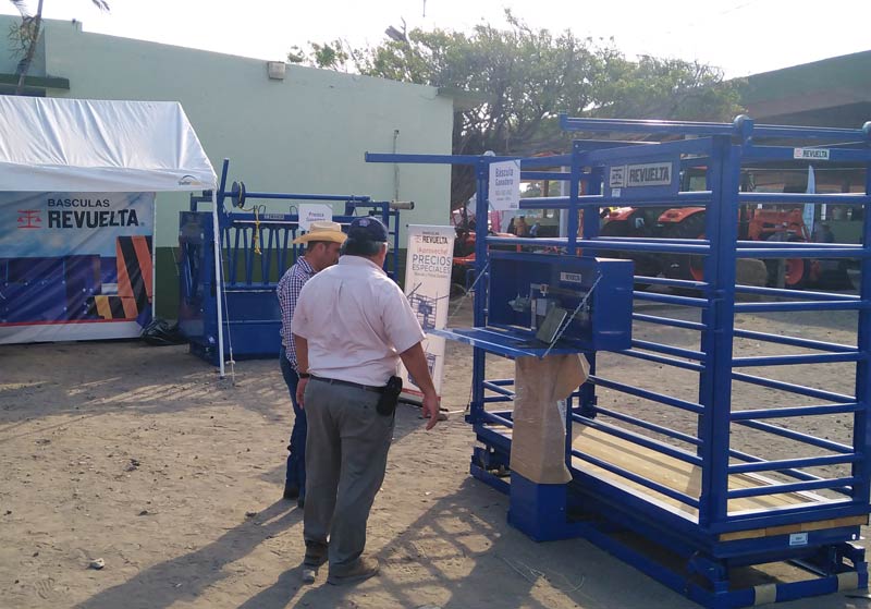 Stand de Básculas REVUELTA® en la Expo Feria Regional Ganadera Ylang Ylang