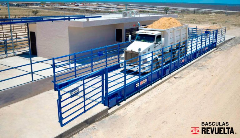 Báscula combinada para camiones y ganado