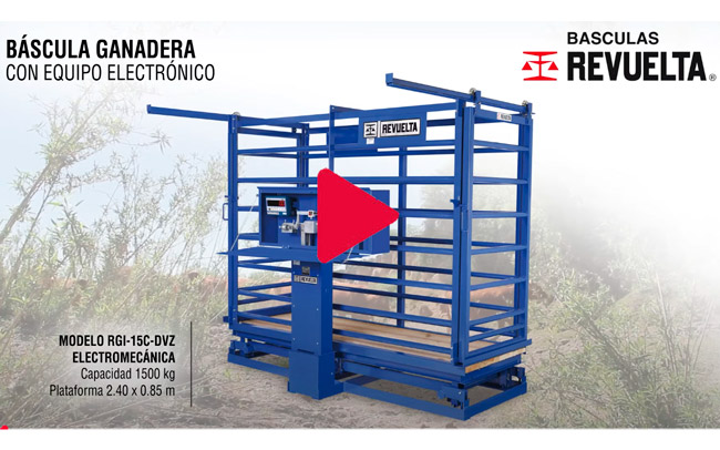 Básculas ganaderas RGI-15c-DVZ con indicador electrónico